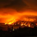 Un incendie de forêt ravage la Colombie-Britannique : évacuation massive et état d&rsquo;urgence déclaré