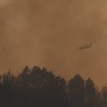 Les Incendies en France : Évolution et Impact