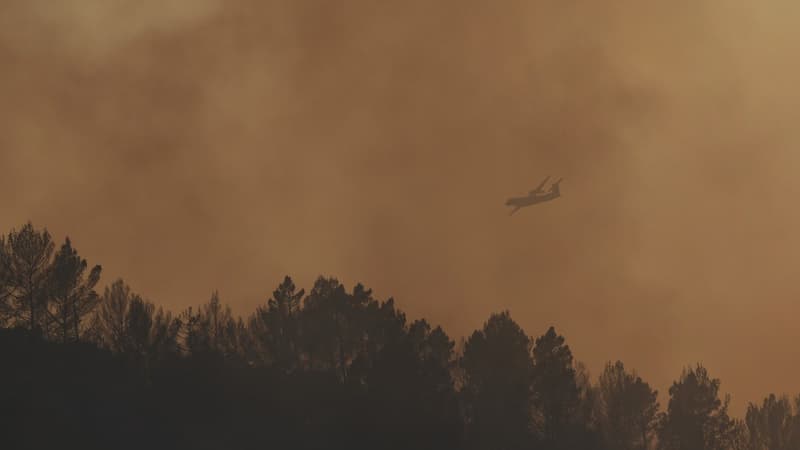 4c87e9fd-42d2-4301-b962-adb0ee8c4a88 Les Incendies en France : Évolution et Impact