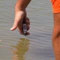 La montée des températures de l’eau : impacts environnementaux et économiques