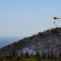 Incendies de forêt dans les Pyrénées-Orientales : risques et conséquences