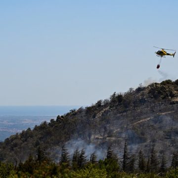 4da56c4a-7367-423b-9a59-5a33b3489949 Incendies de forêt dans les Pyrénées-Orientales : risques et conséquences