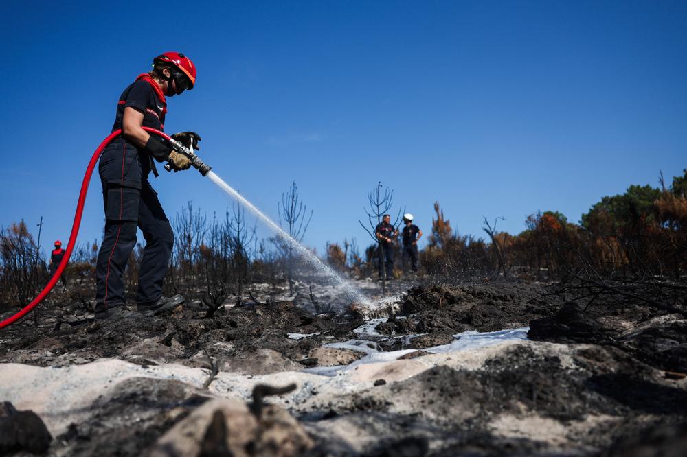 504c31ae-d271-4a14-91df-000d38361f81 Incendies en France : situation actuelle et dispositifs de gestion