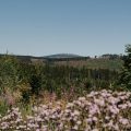 Coordination du Fédéralisme Allemand Face au Réchauffement Climatique