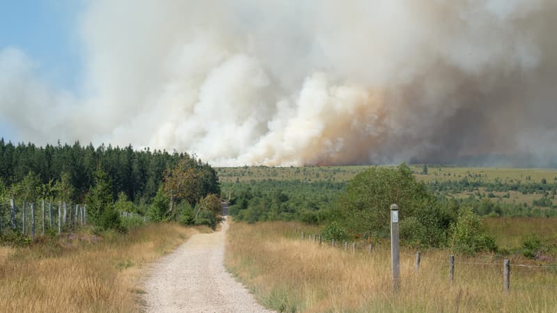 5296ff14-6ca2-4790-a217-40b37b04e89d Incendie majeur dans les Fagnes, Belgique