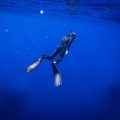 Un Voyage au Coeur de l&rsquo;Océan et de l&rsquo;Âme