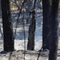 Incendies en France: des défis de taille pour les pompiers
