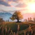Rebel Wolves et l&rsquo;aventure captivante de The Blood of Dawnwalker