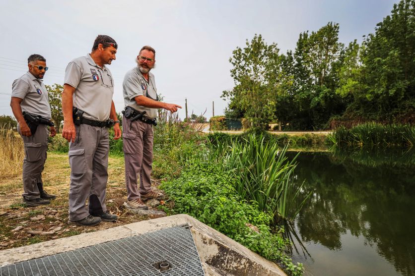 OFB Surveillance accrue de l’eau dans le Marais poitevin en période de sécheresse
