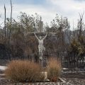 Xavier de Bénazé : Réflexions sur les Incendies et la Spiritualité