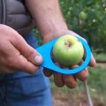 La grande distribution soutient les agriculteurs en valorisant les fruits et légumes abîmés