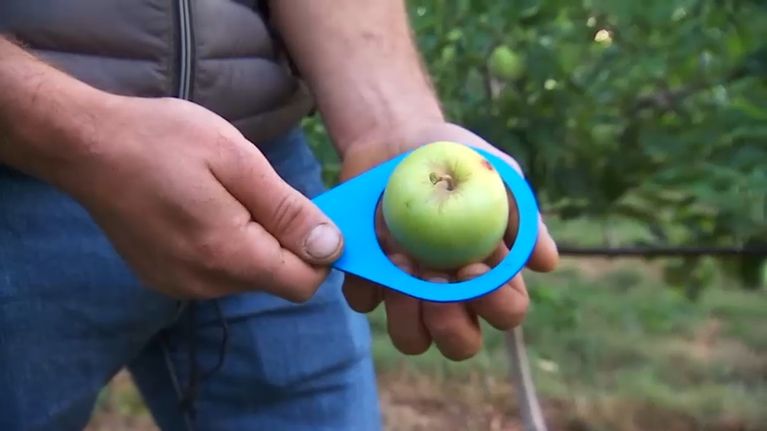 64abb19f-7d38-47c3-bfd9-180cf7e872c7 La grande distribution soutient les agriculteurs en valorisant les fruits et légumes abîmés