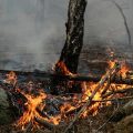 Un homme arrêté pour incendies volontaires dans les Deux-Sèvres et le Maine-et-Loire