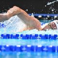 La France décroche l&rsquo;argent grâce au relais 4 x 200 m nage libre