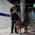 Onze jeunes Français détenus en Thaïlande pour trafic de drogue présumé