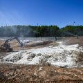 La surmortalité animale due à la canicule crée des nuisances olfactives