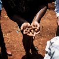 Nairobi incite les jeunes à s&rsquo;engager dans l&rsquo;agriculture
