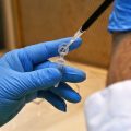 La Grippe Aviaire en Chine : Quatre Nouveaux Cas de Souche H9N2