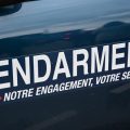 Découverte de 287 animaux dans une maison du Pas-de-Calais