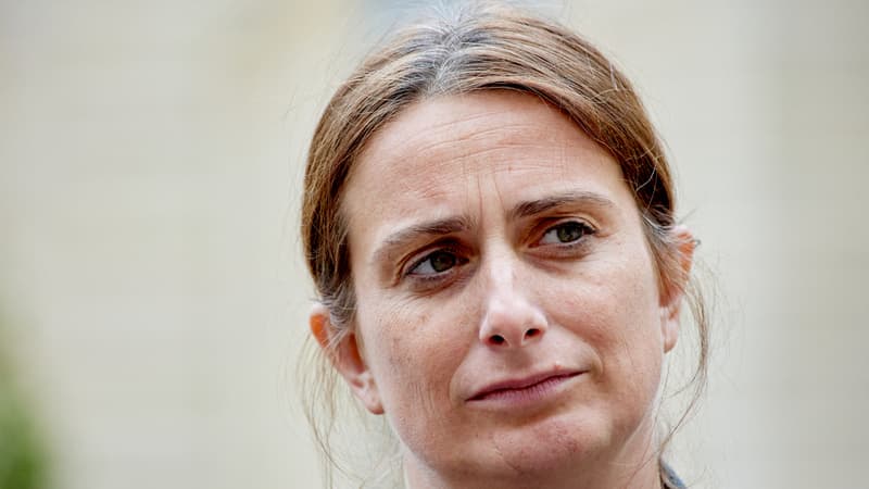 73333ba0-e1ed-4480-8edd-89197f45b70f La stratégie des Verts face à La France insoumise pour 2026