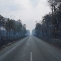 Climat en Gironde : Réflexions après le méga incendie