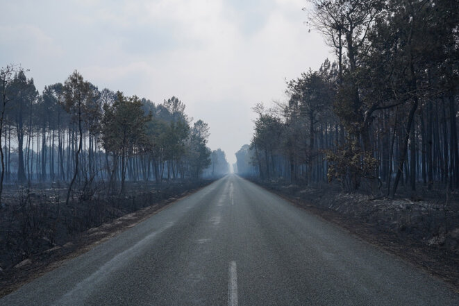 763f6764-32c1-4024-a0e1-061137ba62f6 Climat en Gironde : Réflexions après le méga incendie