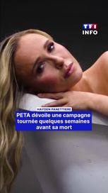 7862955c-2f88-4895-92f1-7f5b8d60b0a2 Hayden Panettiere et son engagement pour la protection des animaux marins