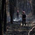 Assistance aux victimes du mégafeu en Gironde