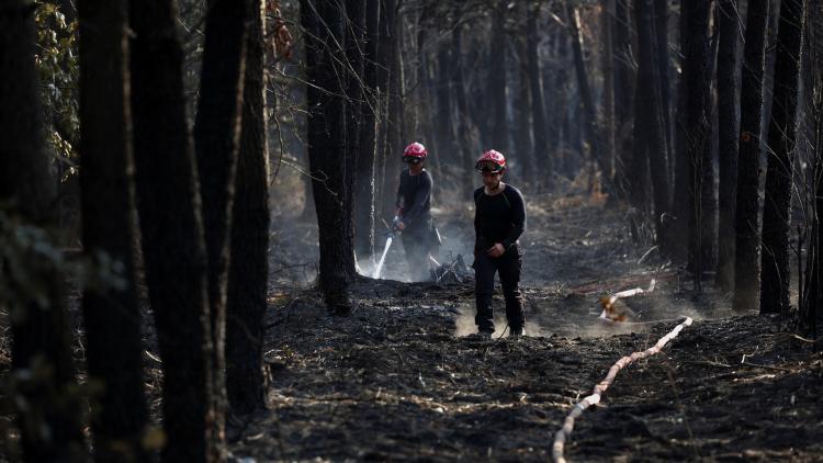 86e9b97d-317c-405b-8f52-998e1555cb21 Assistance aux victimes du mégafeu en Gironde