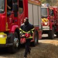 Incendie près de la plage de Dannes : évacuation d&rsquo;un camping