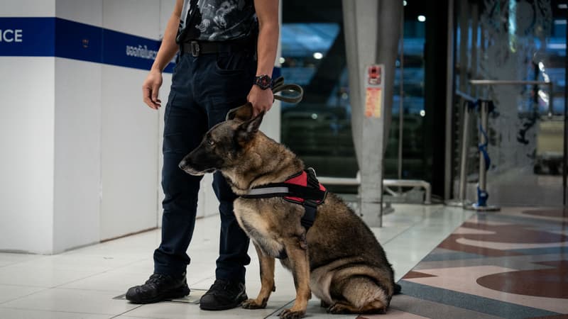 87cda5f8-83e7-4cec-8d72-00d574f792ae Arrestation de Français à Bangkok pour trafic de drogue
