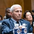 Les poursuites contre Anthony Fauci recommandées par le Sénat américain