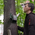 Écouter les Sons de la Nature pour Se Reconnecter à l&rsquo;Essentiel