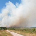 Incendies massifs en Belgique et en France : un bilan alarmant