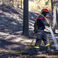 Incendies dans le Pas-de-Calais : Origines et Enquête