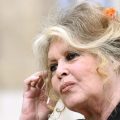Vente aux enchères des effets personnels de Brigitte Bardot