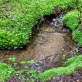 Sécheresse: une situation critique pour les cours d&rsquo;eau en France