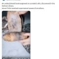 Mystère autour d&rsquo;un prétendu manuscrit au Vatican