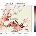 Les températures record des mers européennes menacent les écosystèmes