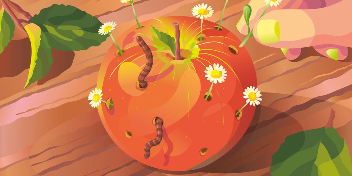 L&rsquo;agriculture bio : un pilier pour la transition écologique