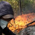 Incendies dans le nord-est de l&rsquo;Algérie : bilan humain et efforts de secours