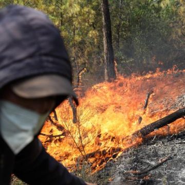 Incendies dans le nord-est de l&rsquo;Algérie : bilan humain et efforts de secours
