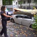 Orages violents dans le Rhône : interventions et dégâts