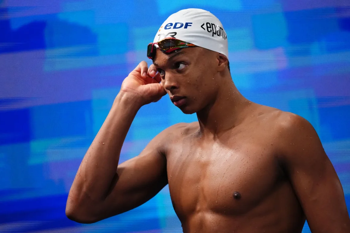 L&rsquo;équipe de France de natation brille en Europe