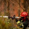 Incendie en Lozère : Plus de 100 hectares dévastés