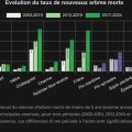 Augmentation de la mortalité des arbres en France: un défi écologique majeur