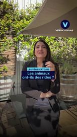 a2f2f9b6-d6ef-45b3-b536-e35b2f0cd0ef Les animaux ont-ils vraiment des rides lorsqu’ils vieillissent ?