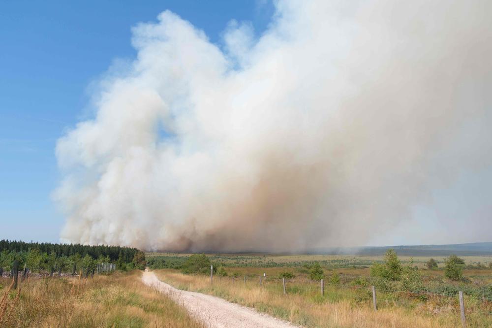 a367531f-94ae-4e2a-9126-50ad0bc85660 Incendies dans les Hautes Fagnes et Ardennes: Bilan et Mesures
