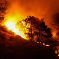 Le monde face à une crise climatique amplifiée par El Niño