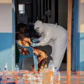 Une vague d&rsquo;interpellations dans la sphère masculiniste française et l&rsquo;épidémie d&rsquo;Ebola en RDC